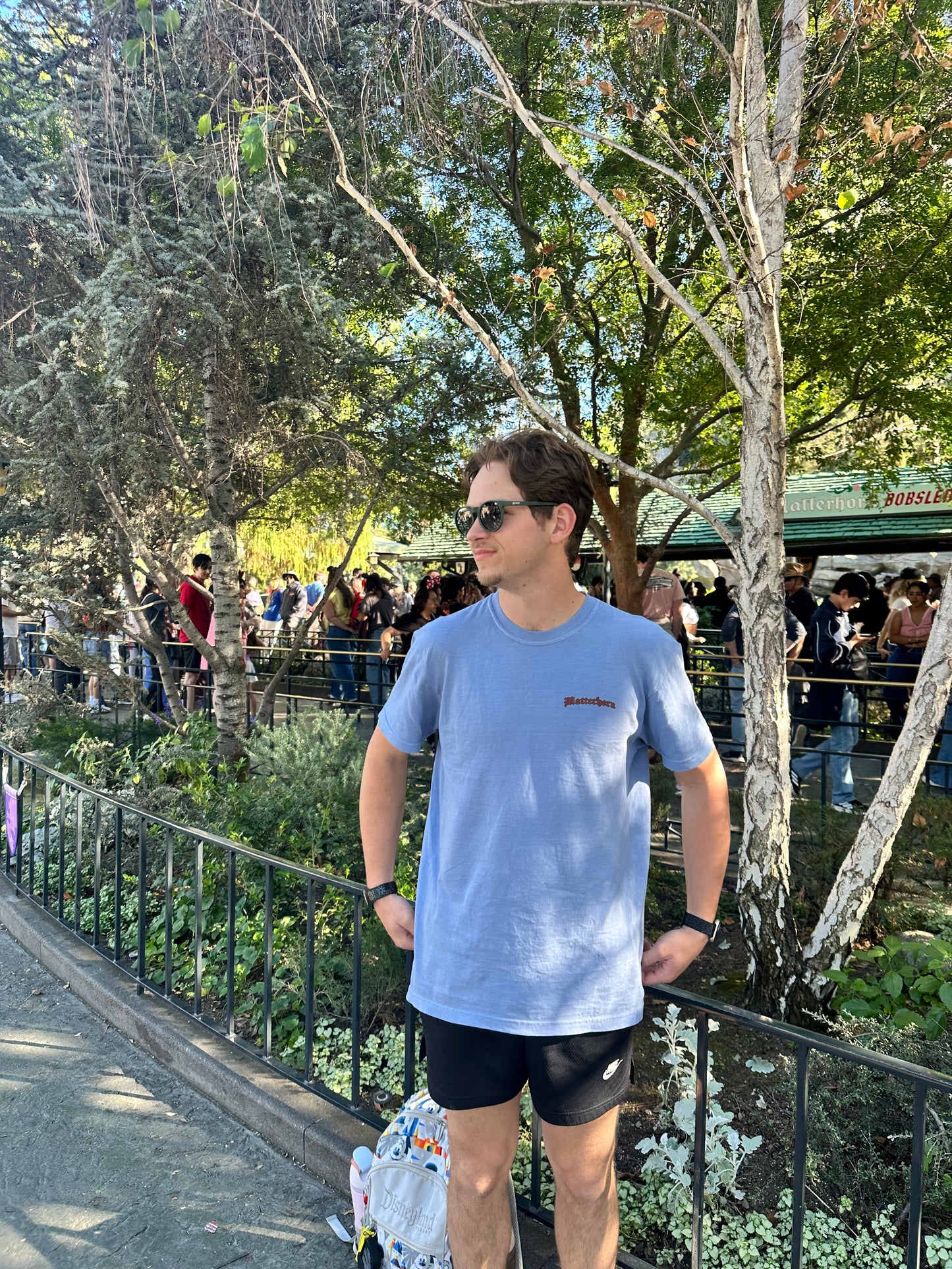 Sunday Cartoons - Matterhorn Bobsleds