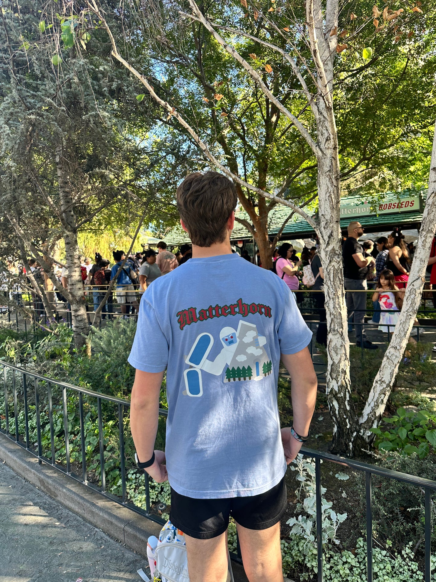 Sunday Cartoons - Matterhorn Bobsleds